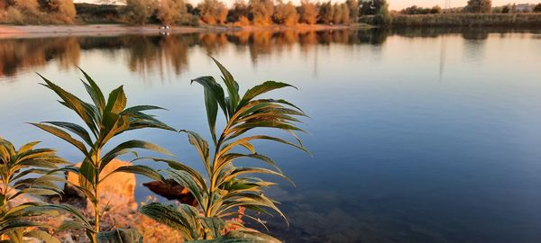 Scenic view of lake