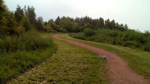 Scenic view of road amidst trees against sky