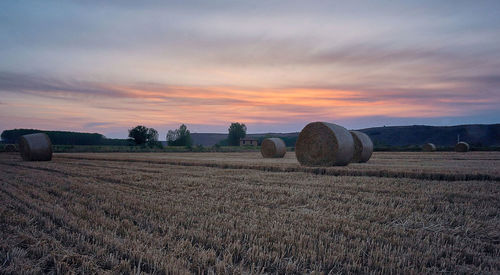 Hay bales in wheat field against sky during sunset