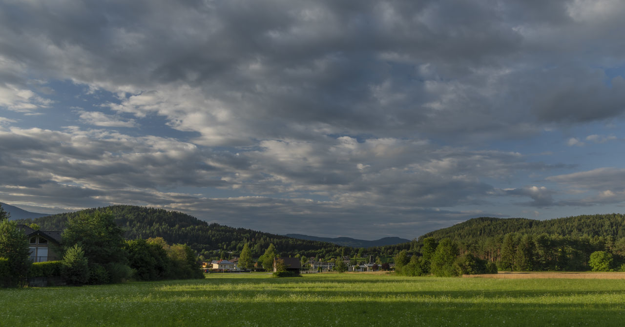 SCENIC VIEW OF FIELD AGAINST CLOUDY SKY