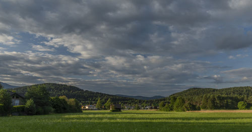 Scenic view of field against sky