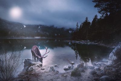 Man standing in a lake