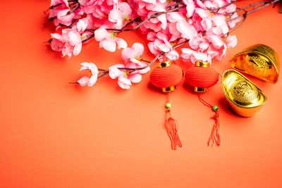 High angle view of pink flowering plant against orange background