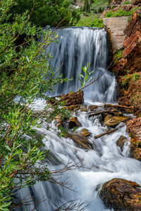 Scenic view of waterfall in forest