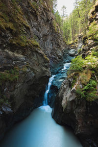 Scenic view of waterfall in forest