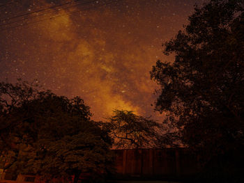 Low angle view of silhouette trees against sky at night