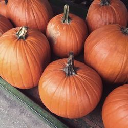 Close-up of pumpkins for sale at market