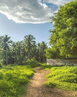 Scenic view of landscape against sky