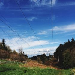 Scenic view of grassy field against cloudy sky