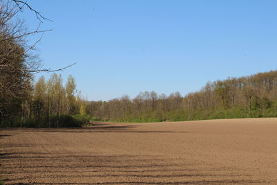 Scenic view of road by trees against clear blue sky