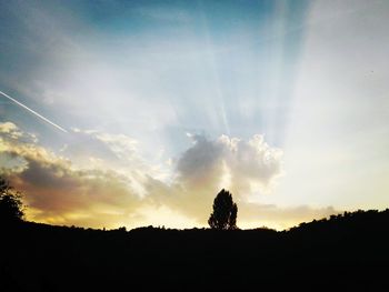 Low angle view of silhouette trees against sky during sunset