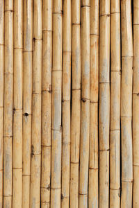 Full frame shot of bamboo