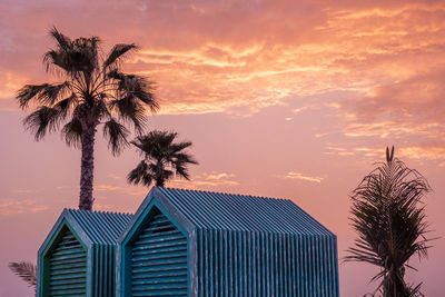 Palm trees and beach hut at la mer in dubai against sky during sunset