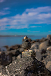 View of turtle on rock against sea