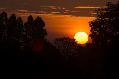 Silhouette trees against sky during sunset