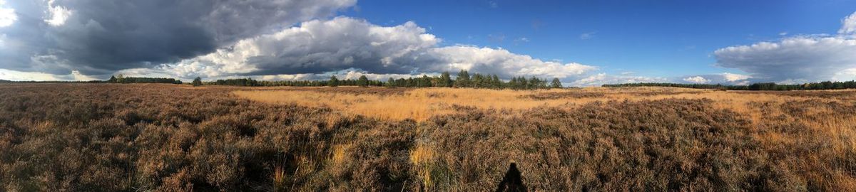 Panoramic view of land against sky