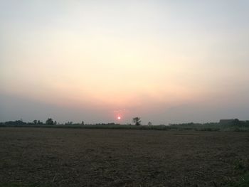 Scenic view of field against clear sky during sunset