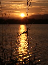 Sunset over lake