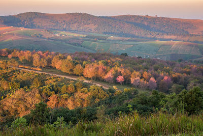 Scenic view of landscape against sky during autumn