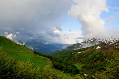 Scenic view of agricultural field against sky