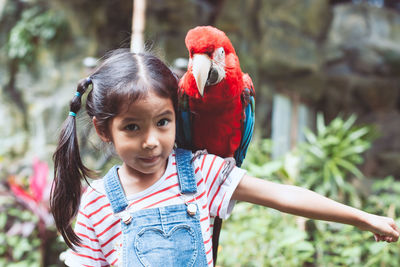 Scarlet macaw perching on girl shoulder