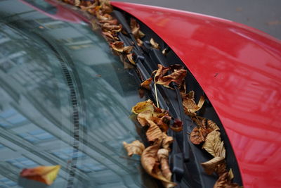 High angle view of dry leaves on car's window 