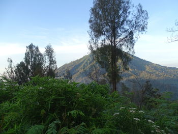 Scenic view of mountains