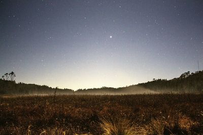 Scenic view of field against clear sky at night