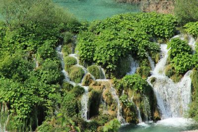 Scenic view of waterfall