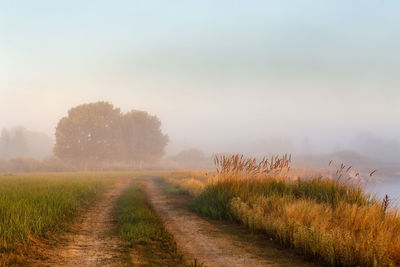 Scenic view of field against sky