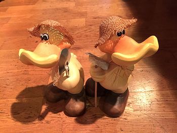 Close-up of an animal on table