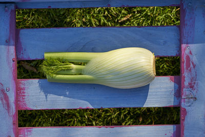 Directly above shot of bok choy on wooden plank