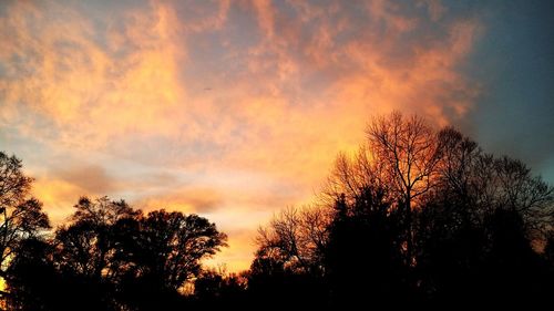 Silhouette trees against sky during sunset