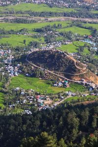 High angle view of trees and buildings