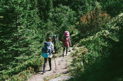 Rear view of friends walking on footpath in forest