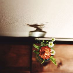 Close-up of flowers against blurred background