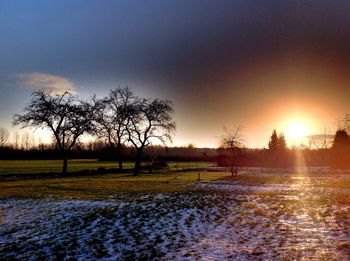 Bare trees on field against sky during sunset