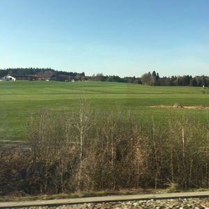 Scenic view of field against clear sky