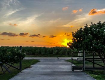 Scenic view of field against sky during sunset