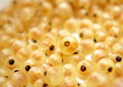 Full frame shot of white currant fruits