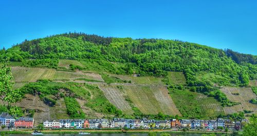Scenic view of trees and mountains against blue sky