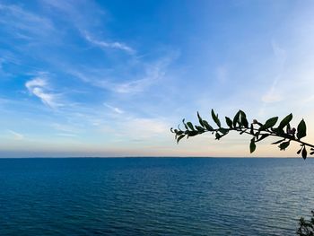 Scenic view of sea against blue sky