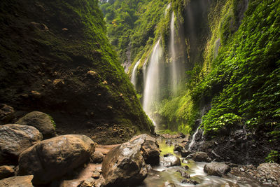 Scenic view of waterfall in forest