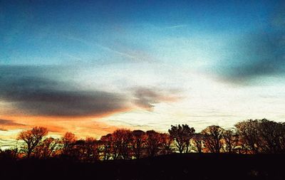 Low angle view of silhouette trees against sky during sunset