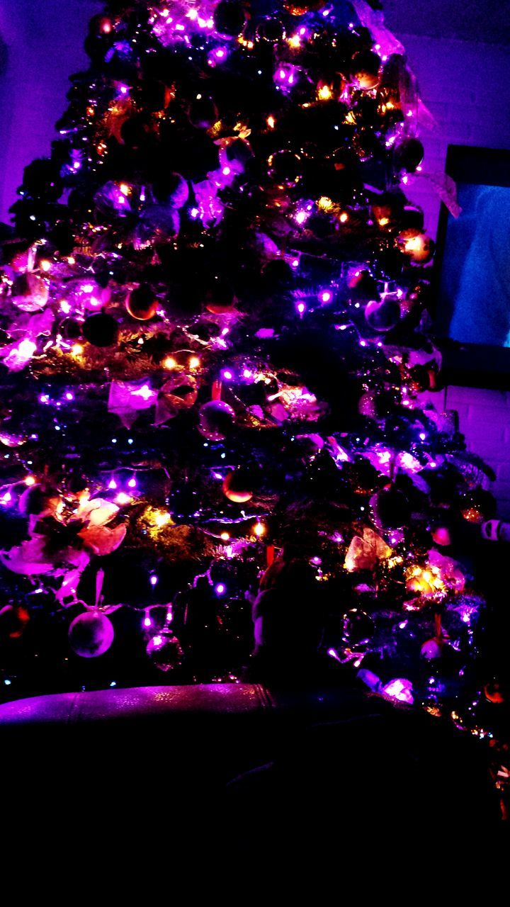 illuminated, night, indoors, celebration, glowing, light - natural phenomenon, decoration, lighting equipment, dark, arts culture and entertainment, purple, light, multi colored, christmas decoration, christmas lights, event, low angle view, christmas, tradition, celebration event