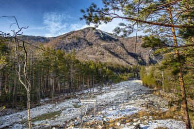 Scenic view of snow covered land against sky