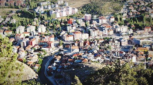 High angle view of houses and trees in town