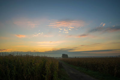 Scenic view of field against sky during sunset