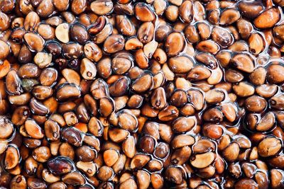 Full frame shot of coffee beans