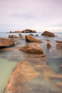 Surface level of rocks on shore against sky